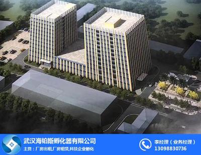 專業潔凈，為創新護航 武漢海鉑斯孵化器實驗室清洗刷解析