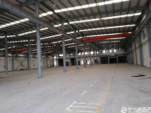 搶占先機！廣州新塘全新高臺廠房火爆招租，打造專業清洗刷生產新高地